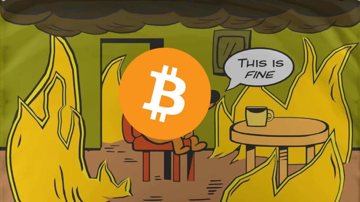 Биткойн и криптоплав, а эксперт сумасшедший. "Черт, просто будь терпелив!"
