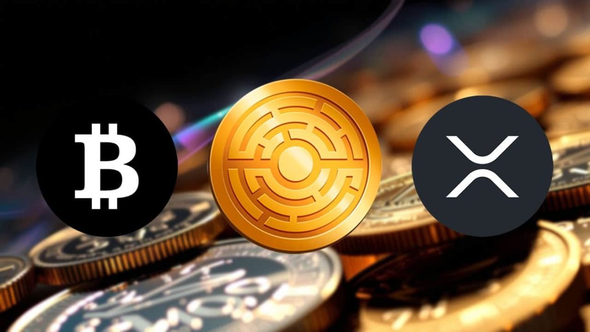 Каждый фанат биткойнов может сожалеть о том, что он не купил XRP. Это то, что утверждает эксперт
