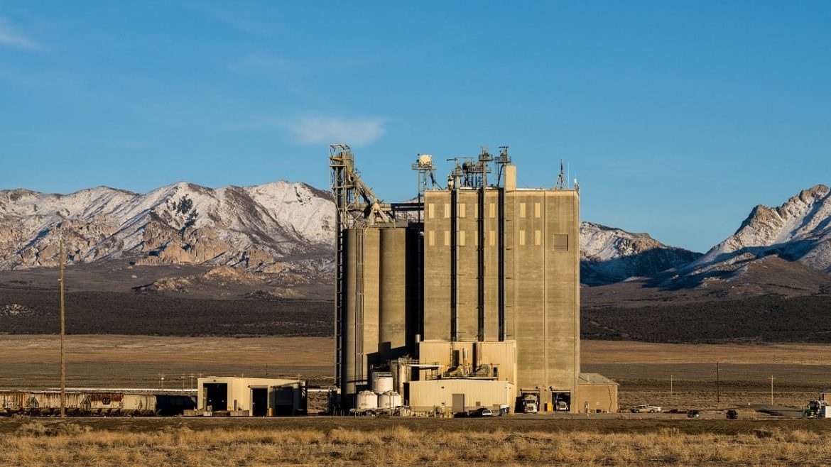 Китайская почва - под молотка. Захватывающее предложение на вызов пандемии Covid
