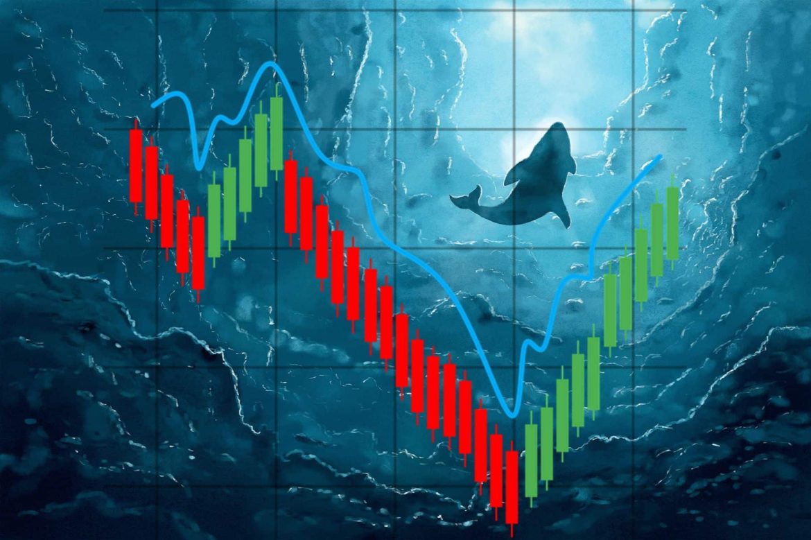 Киты делают таинственные движения к Эфириуму. "Эт умер?"
