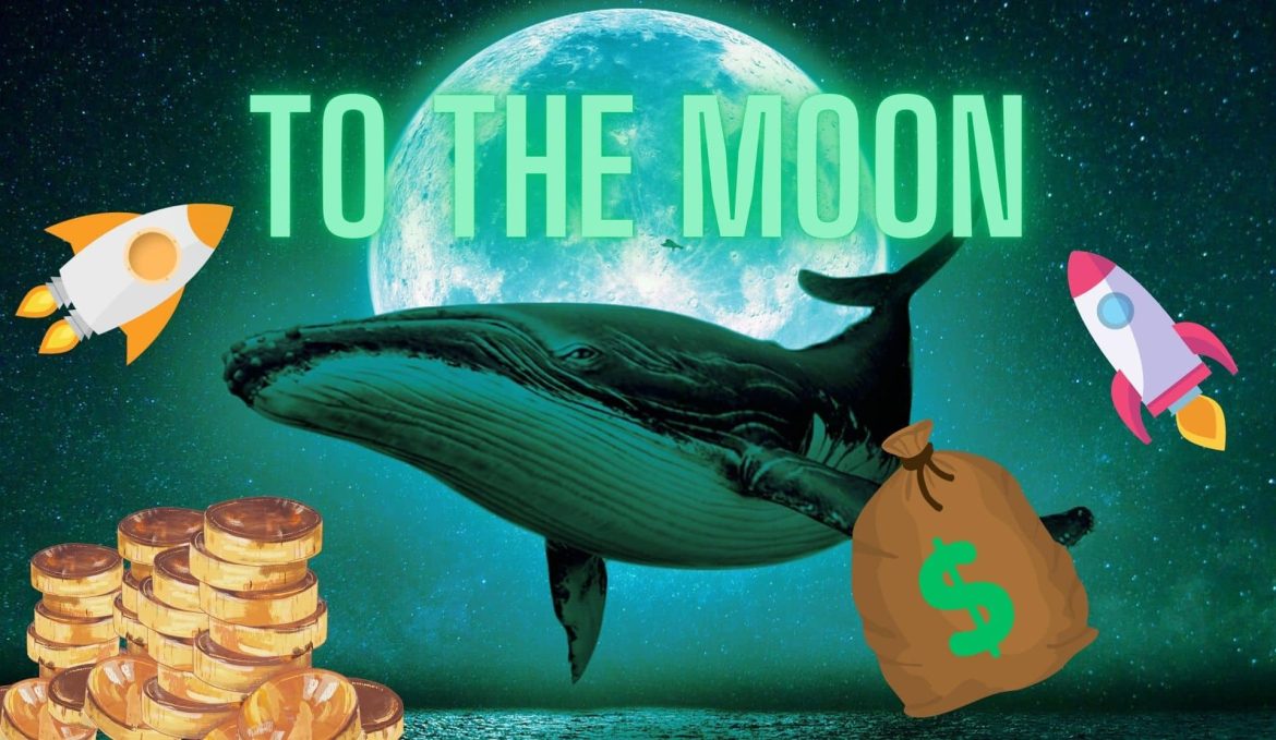 Киты начали много всего после альткойна с топ -10. Более 50 миллионов штук, взятых всего за два дня
