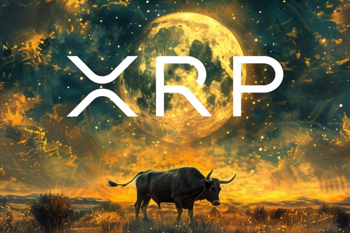 XRP создает шаблон, который может привести к увеличению на несколько десятков процентов

