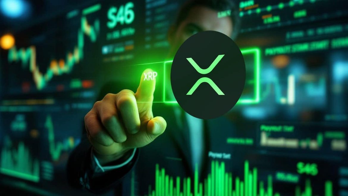 Генеральный директор Tormyrs считает, что цена XRP может достичь четырехмерной стоимости
