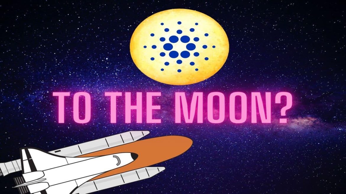 Кардано готов удивить всех? «Следующий шаг может быть значительным»
