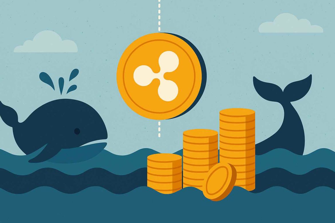 Кит перемещает десятки миллионов долларов в XRP. О чем это?
