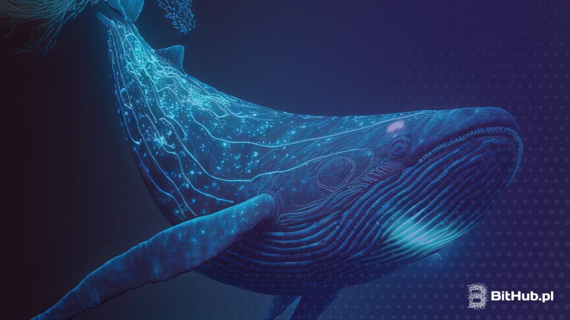 Киты бросились в альткойн с строгого вершины. Готовятся ли они к выстрелу?
