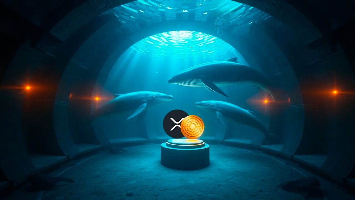 План с волнением на 2025 год: Сделать XRP банковским стандартом?
