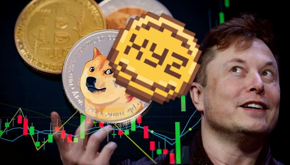 Rally X1000 не за горами? Один твит Элона достаточно, чтобы собака взорвалась!
