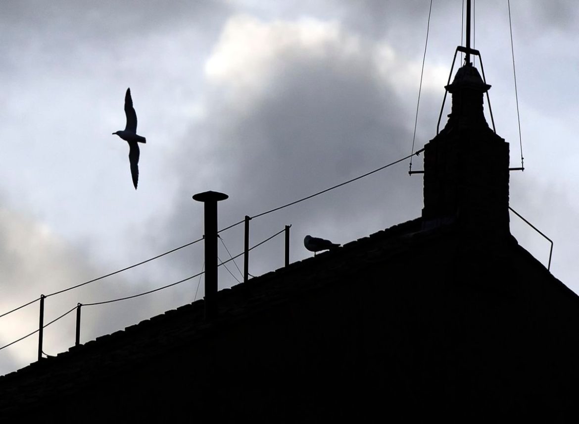 Конклав. Папабили, или у кого есть шанс стать новым папой
    

