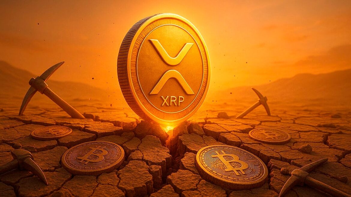 Эксперт сравнивает XRP с биткойнами, когда он стоит 0,05 доллара. Он утверждает, что сегодняшние цены являются уникальной возможностью
