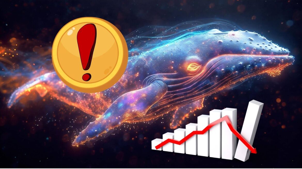 Киты продали 60 миллионов лучших криптовалют. Спасти кто может?
