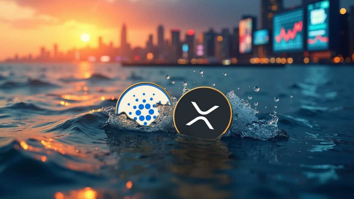 Лучшие эксперты говорят, что XRP и Cardano в настоящее время недооцениваются и могут получить оценку в 1,6 трлн долларов США.
