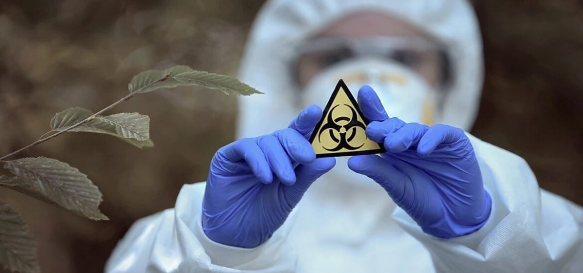 «Агротерроризм». Китайцы пытались контрабанды патогена, способного разрушить сельское хозяйство всей страны
