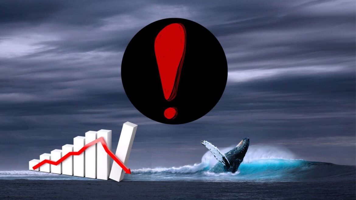 Киты были одурачены этим альткойном? "Соберите сумки для мальчиков. Все кончено"
