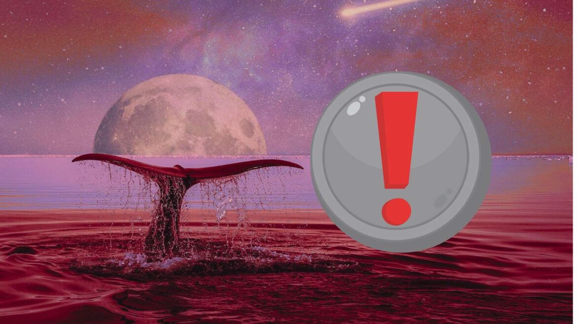 Киты продали токены на сумму более 270 миллионов долларов. Курс этой криптовалюты уже погружается
