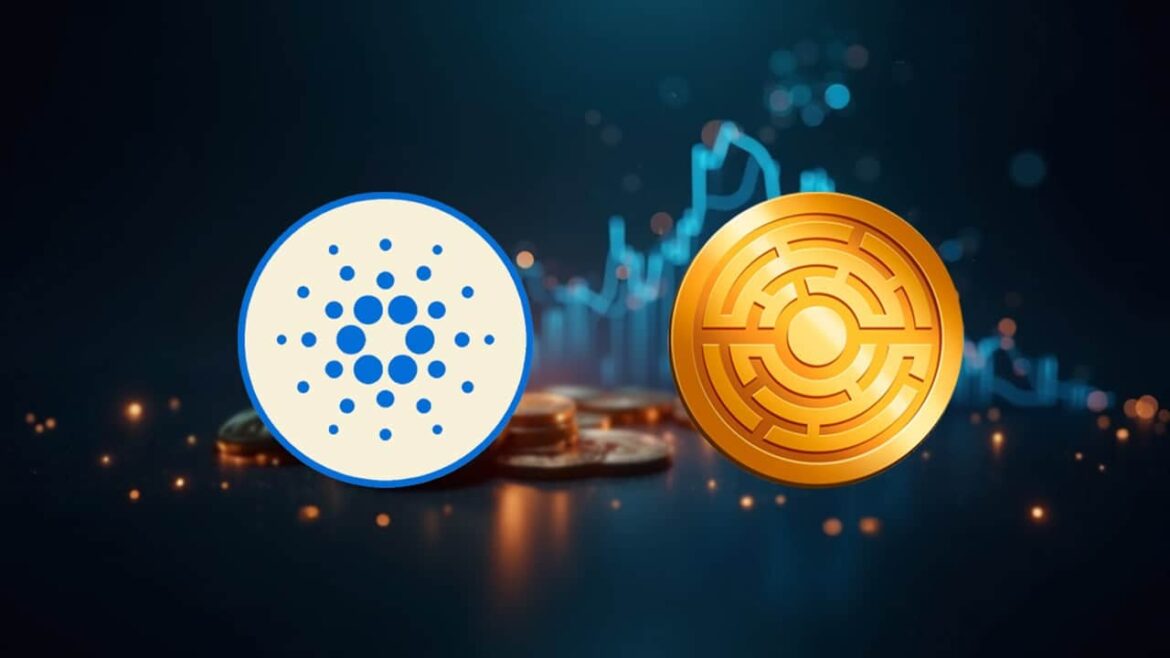 Покупка ADA Today - это все равно, что покупать биткойны в 2016 году, говорит ветеран криптовалюты
