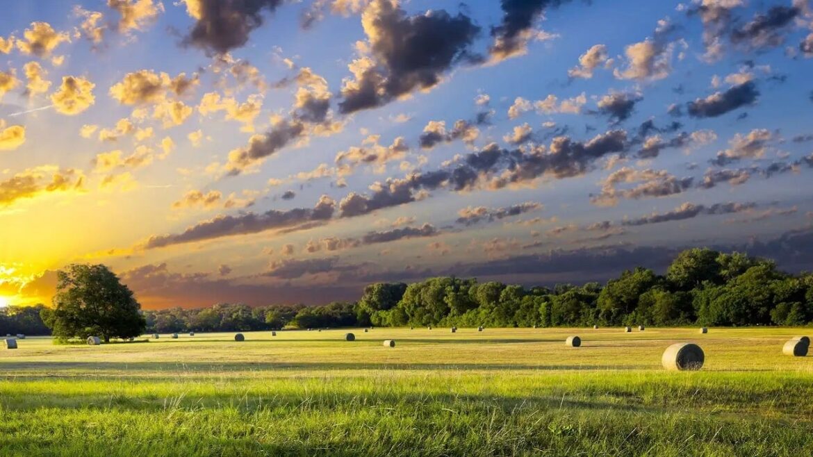 Земля - ​​не для коммунистов. Запрет на продажи вступает в силу
