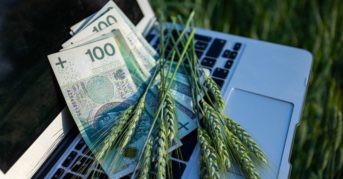 Меньше денег для фермеров в новом бюджете ЕС? Комиссар по сельскому хозяйству занял пол
