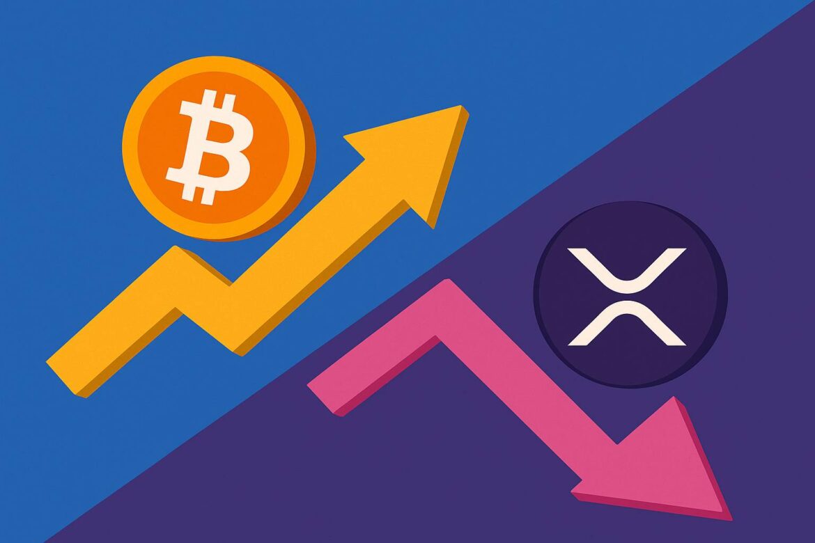 Insider Ripple: xrp - в 2 раза лучше, чем BTC
