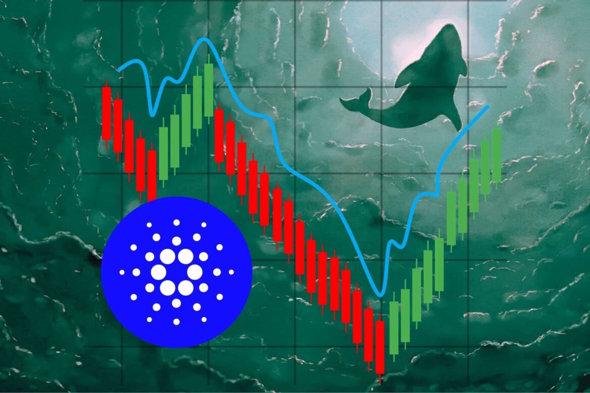 Кардано ждет впечатляющего падения? «ETF не поможет ADA, инвесторы потеряют свое намерение». Что дальше с Altcoin?
