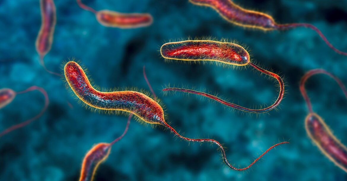 Сообщается только о 10 процентах случаев холеры. Как вы можете заразиться и стоит ли прививать?
