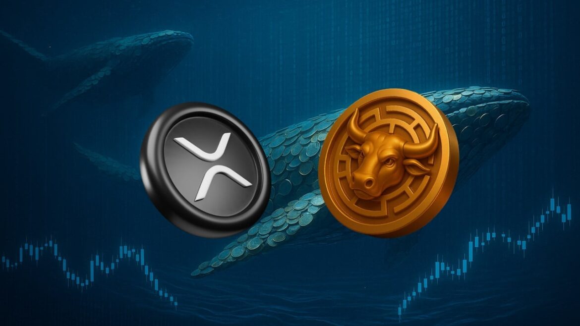 Редкий сигнал XRP, который привел его к +630%, снова вспыхнул. Киты в движении, новая возможность на горизонте
