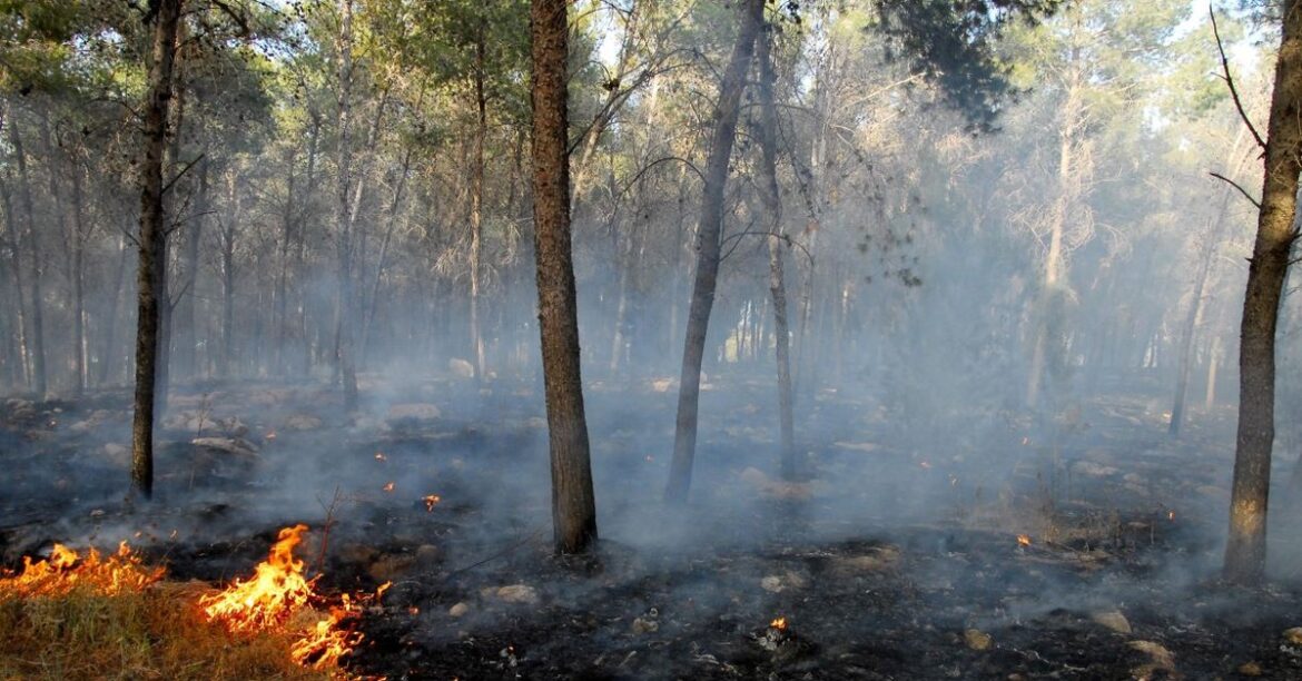 Огромный огонь во Франции. Почти 240 га горит недалеко от Марселя
