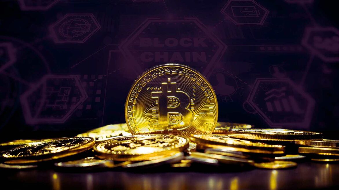 Сто процентов владельцев биткойнов в настоящее время «в плюсе»! Что мы знаем о них?
