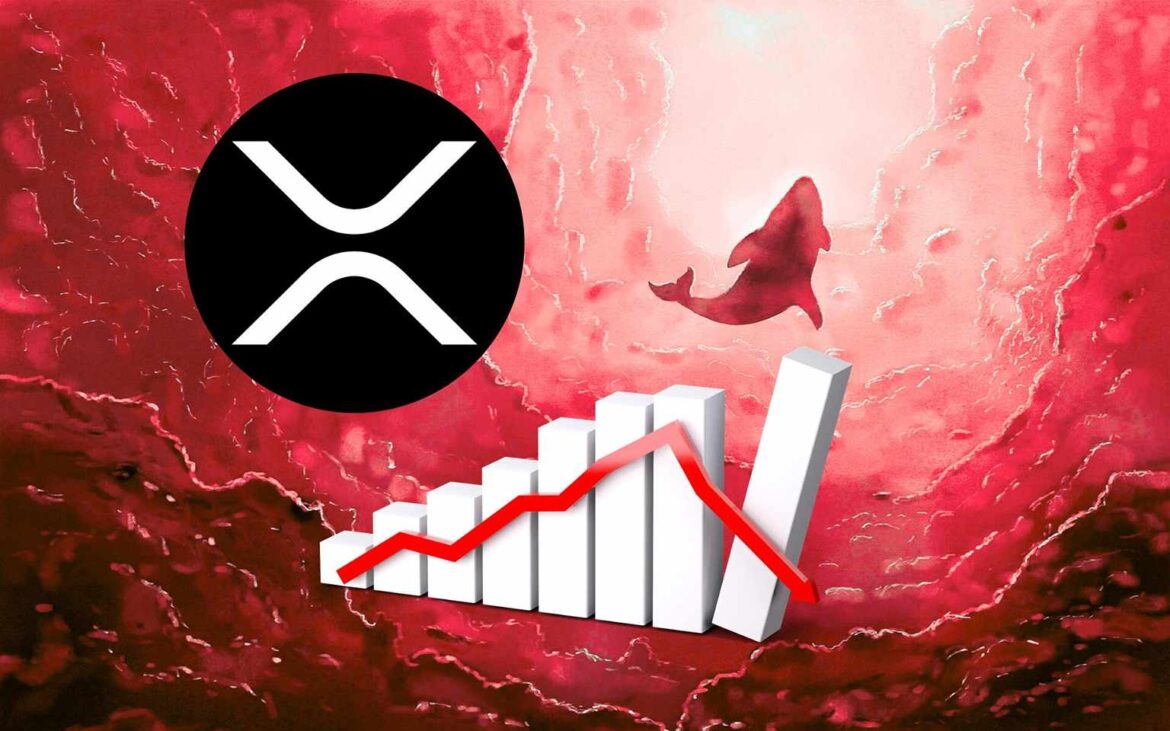 Будут ли киты погрузиться в XRP? Более 30 миллионов Ripple попало на фондовые биржи. Есть больше красных флагов
