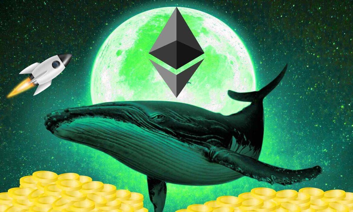 Это конец увеличения для Ethereum? Киты дали яркий сигнал
