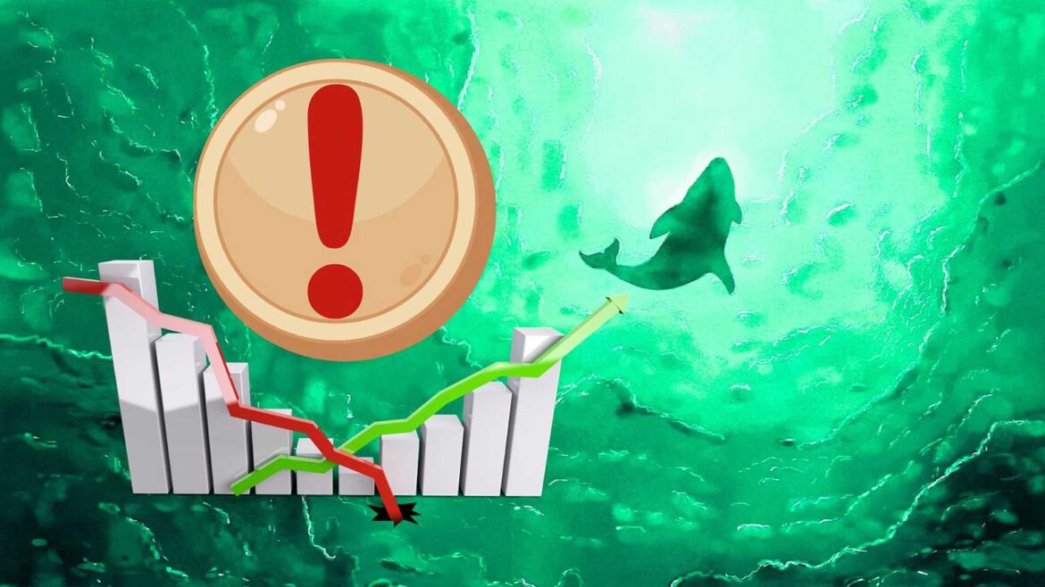 Этот токен обходит кризис, а киты не перестают покупать. «Шок предложения наступает»
