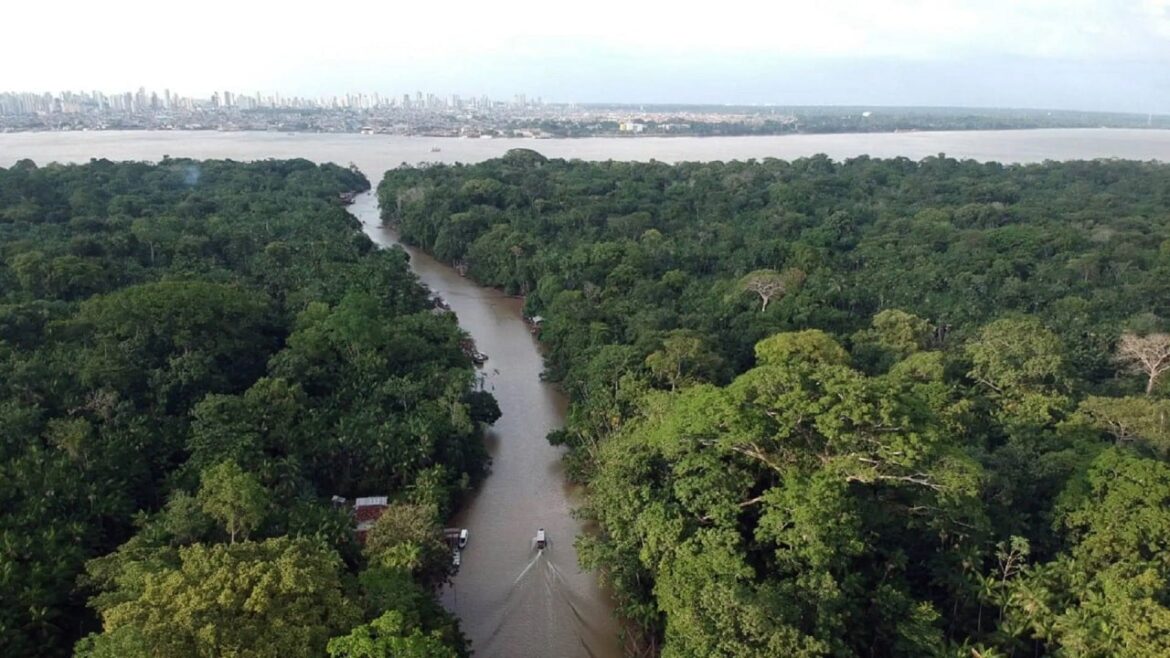Климатический пик в отверстии. Гостиничный картель уничтожит инициативу ООН?

