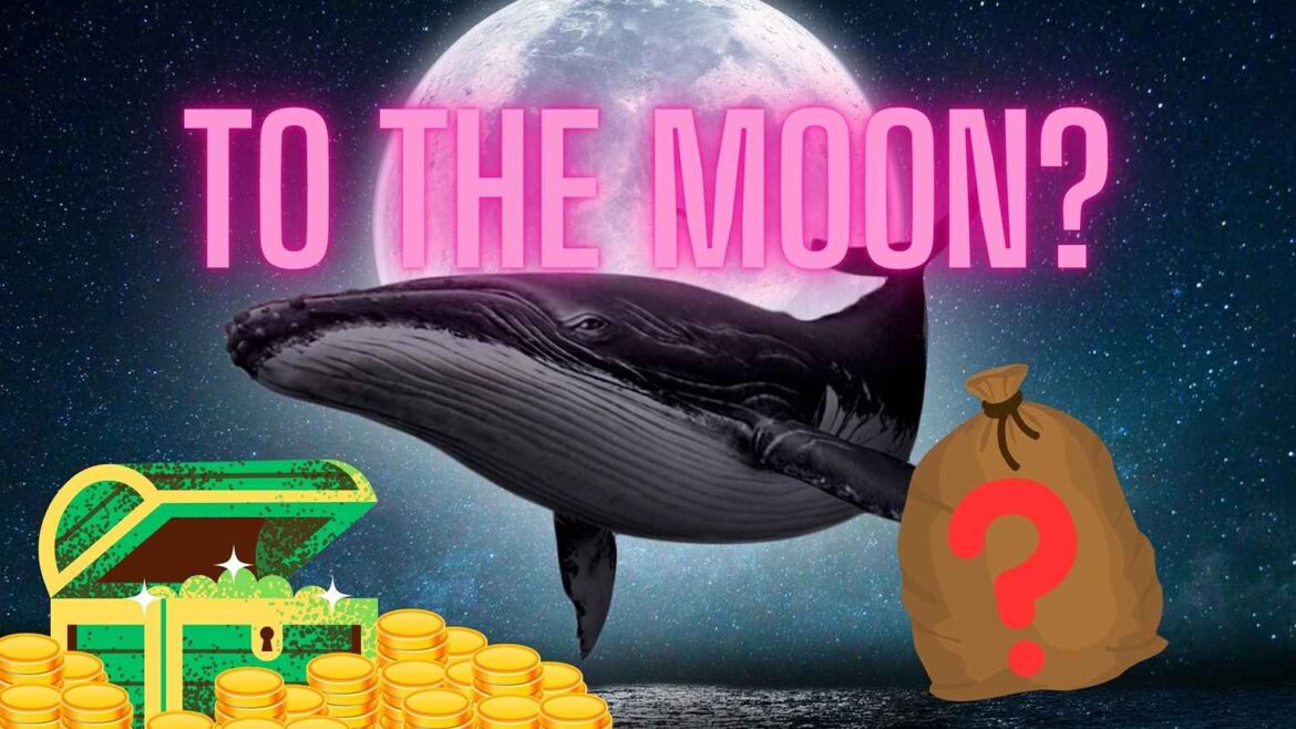 Рынок преждевременно вычеркнул этот токен? Киты тихо купили почти 500 миллионов штук этой монеты
