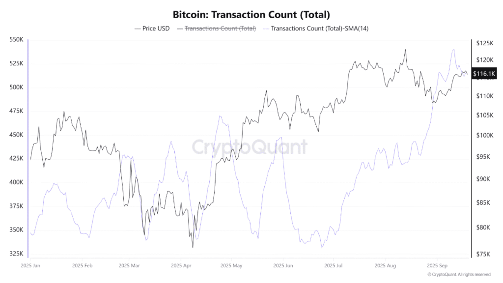 Биткойн -диаграмма активности