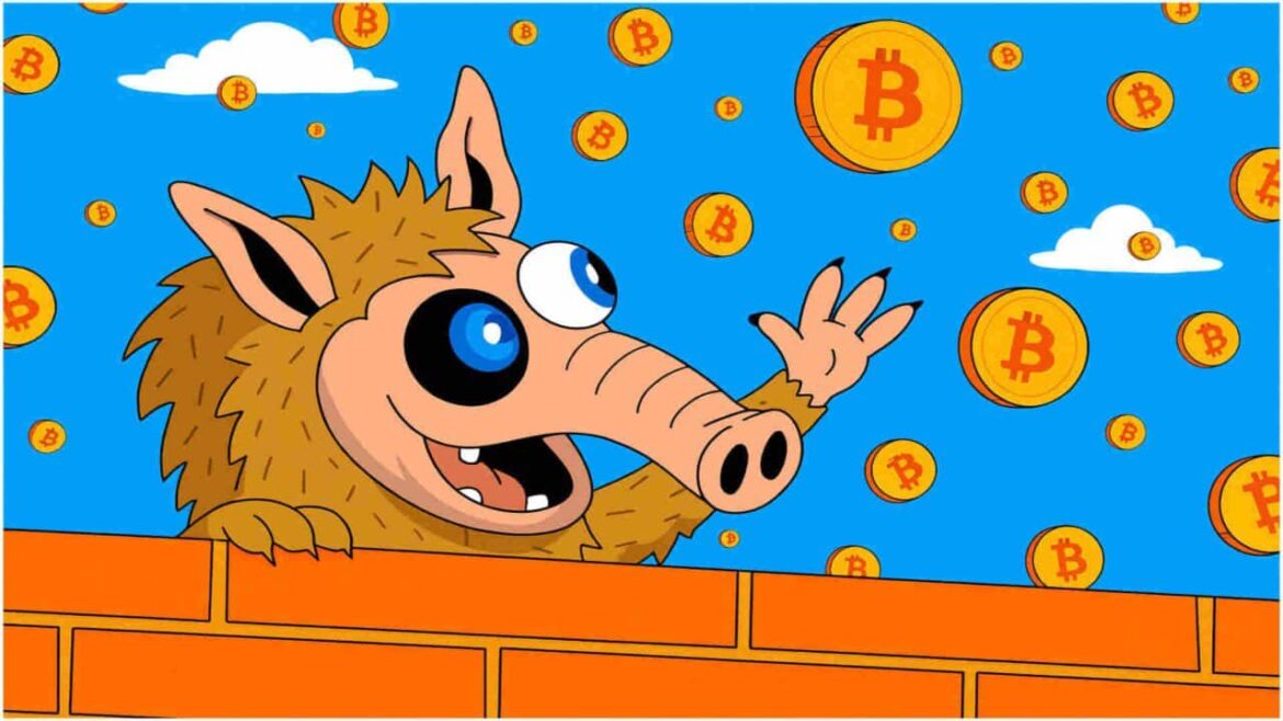 Рынок после шока и внезапного отскока. 19 миллиардов долларов испарились, а капитал возвращается инвесторам
