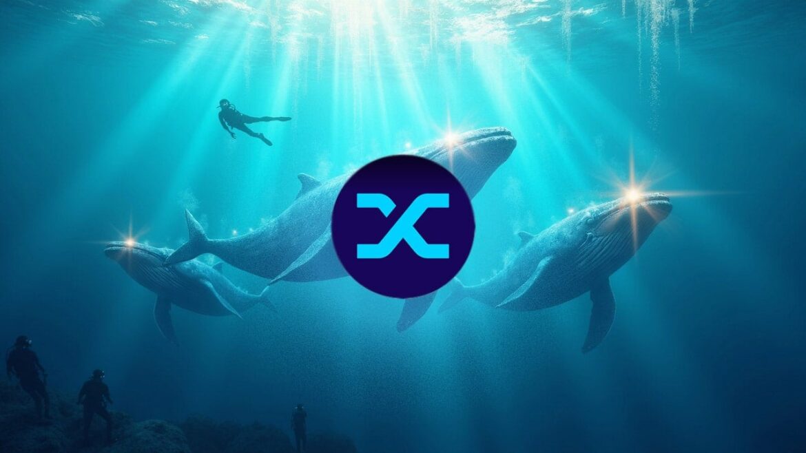 Увеличение на 400% за 3 дня. Почему киты вдруг инвестируют в этот альткоин?
