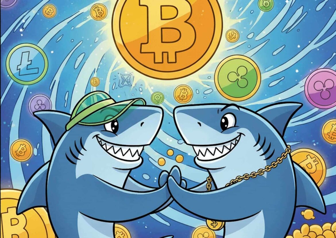 Биткойн готов к потрясениям, а XRP? Раскрываем, на что делают ставки акулы!
