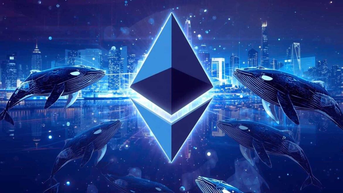 Киты купили этот альткойн, когда цена биткойна упала ниже 100 000. ДОЛЛАР США. Они готовятся к очередному митингу?
