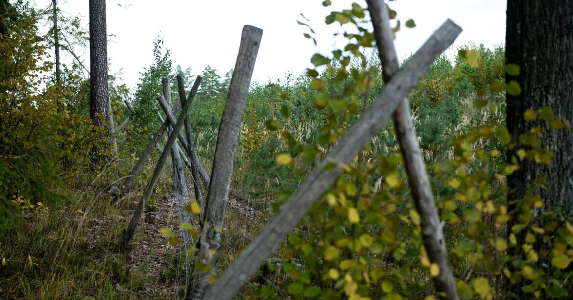 Запах привел полицию к полякам в Норвегии. То, что они обнаружили, удивило всех
