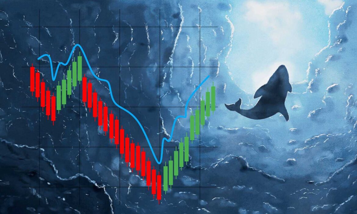 Загадочная активность китов вокруг Эфириума. Что может означать этот шаг?
