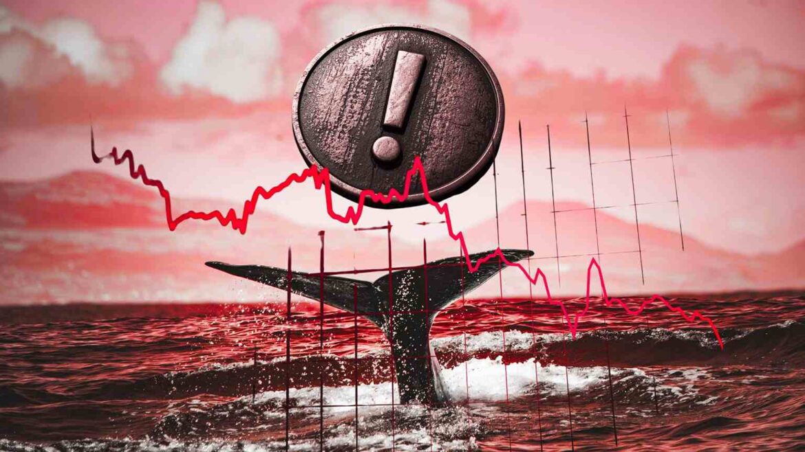 Киты продали 280 миллионов штук ТОП-10 альткоинов. Это может быть огромной ошибкой
