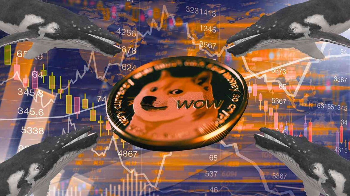 Вот последствия решения ФРС о снижении ставок: киты накапливают Dogecoin, но то, что делает Биткойн, может возобладать!
