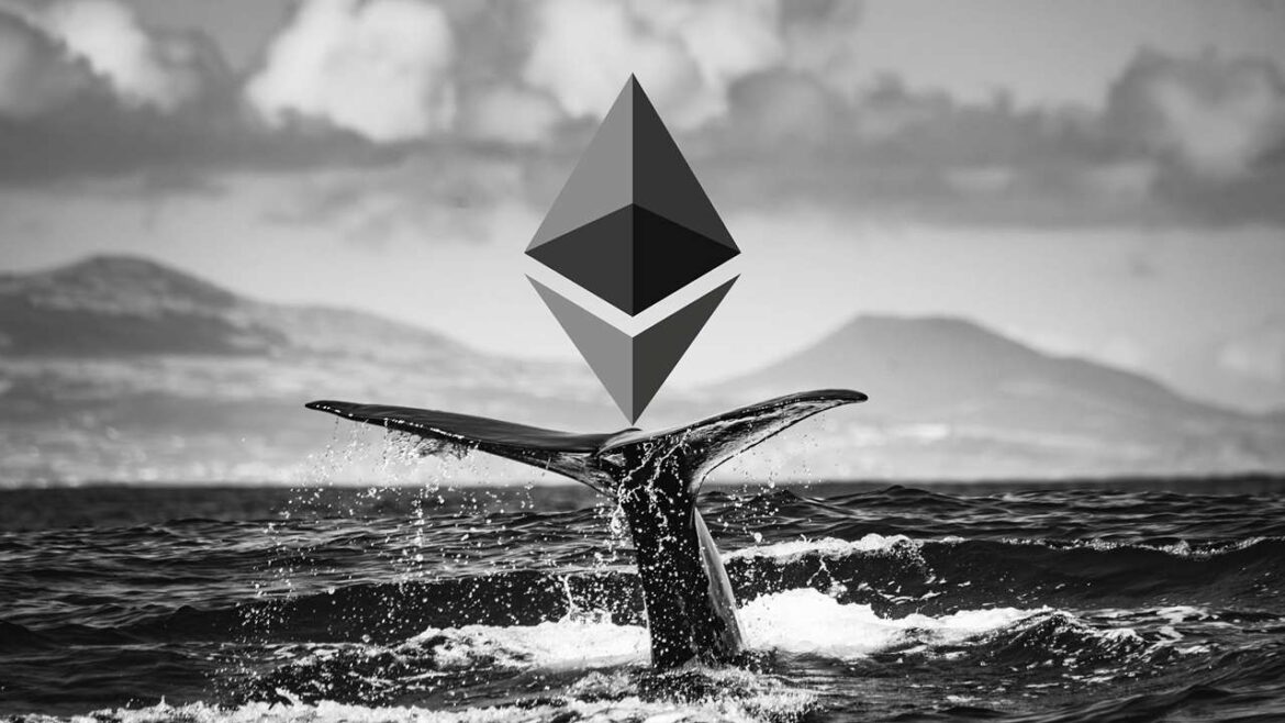 Гигант внезапно перестал массово покупать Ethereum. Он уходит или ждет вылета?

