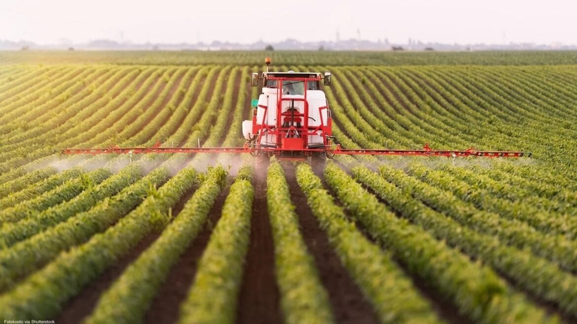 Заключить сделку МЕРКОСУР с помощью осины. Франция объявляет о запрете, который сделает пакт мертвым положением

