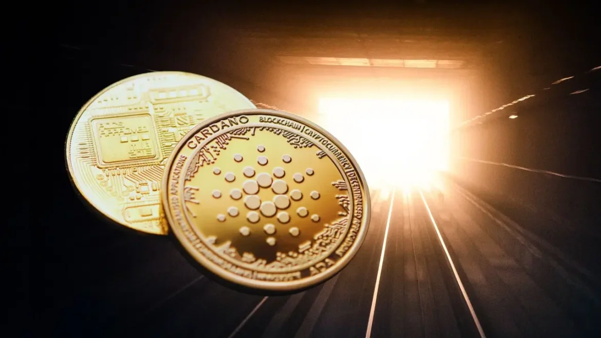 Цена Cardano упала на 80%, но киты покупают как сумасшедшие. Рынок слишком рано похоронил ADA?
