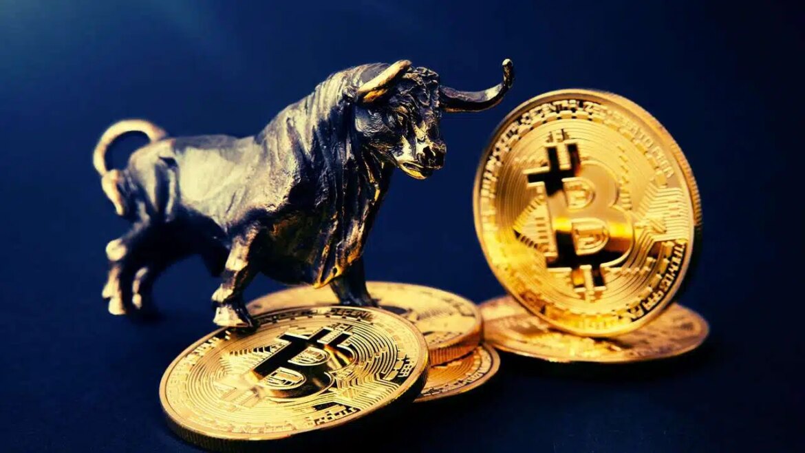 Возвращается ли фонд, связанный с октябрьским крахом криптовалюты, в биткойн? Вот данные
