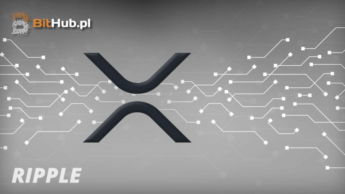 Гигант Уолл-стрит является крупнейшим держателем акций XRP ETF! Что это значит? Мы попросили эксперта прокомментировать ситуацию.

