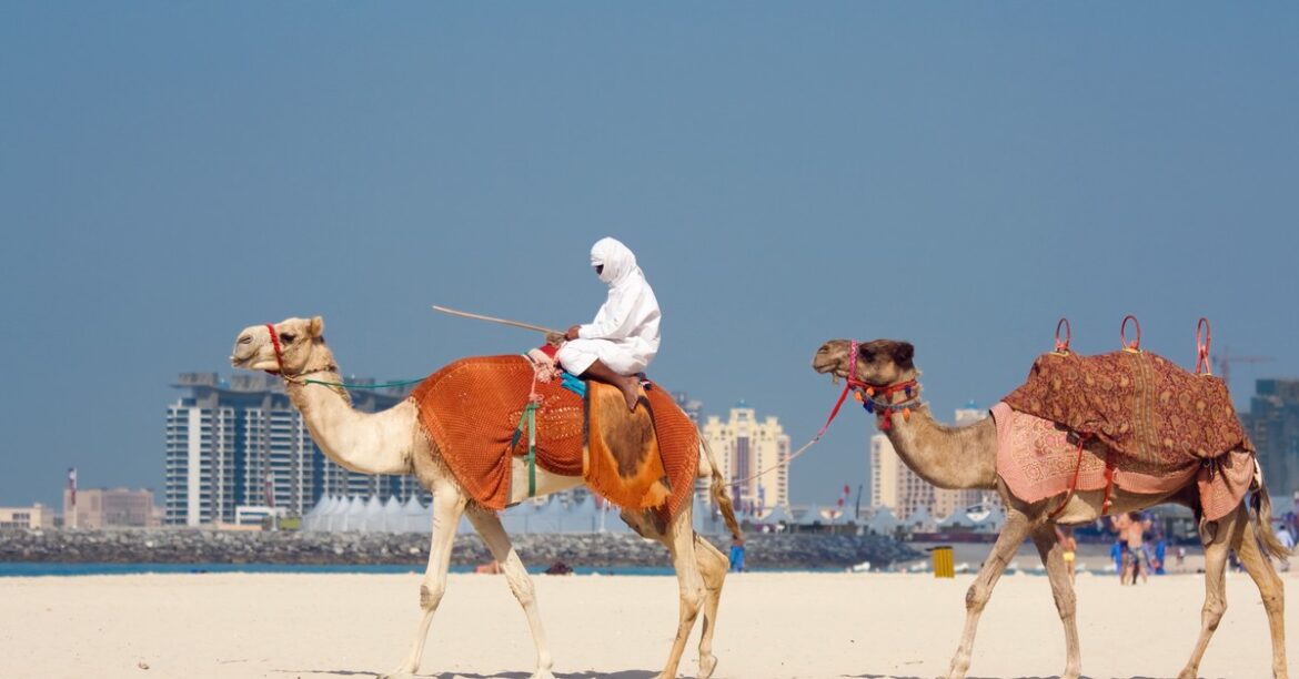 Не только влиятельные лица. Министр обороны страны ЕС прилетел в Дубай на отдых
