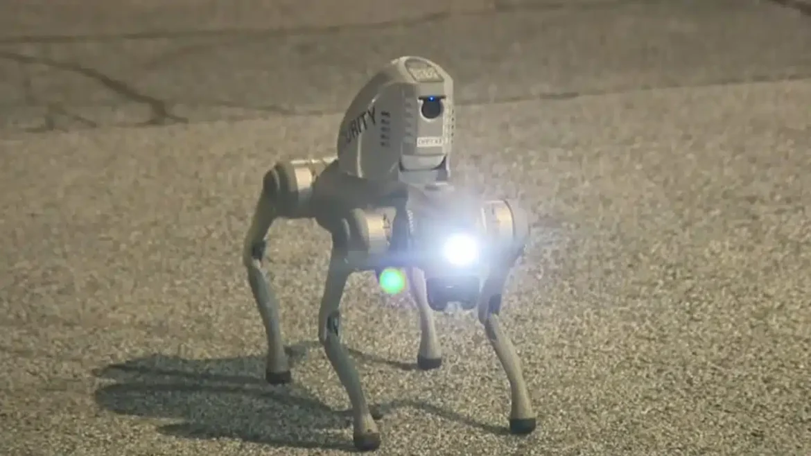 Механические собаки как полицейские, индусы из колл-центров удаленно командуют жителями. Скандальный «эксперимент»
